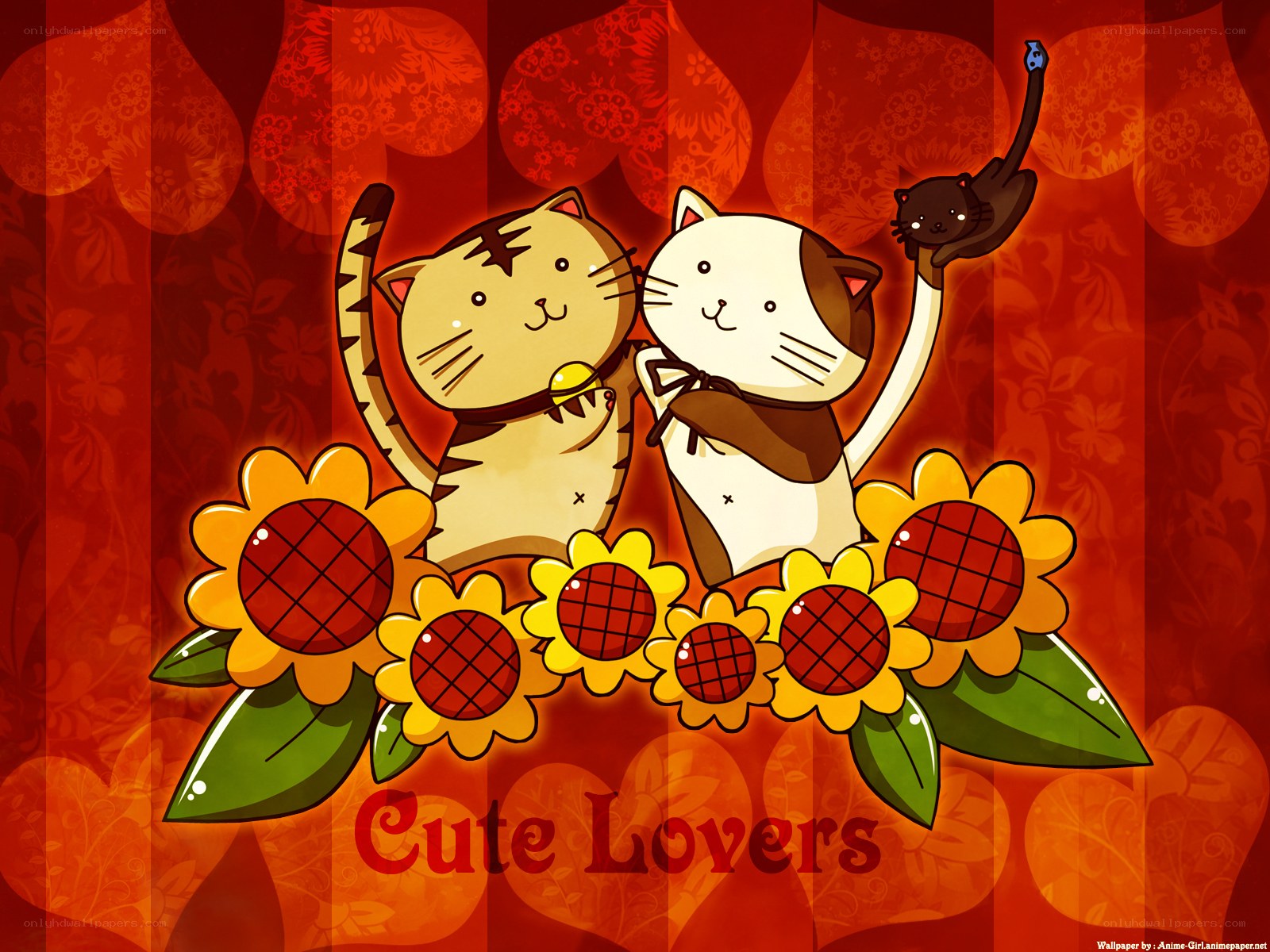 Cute cat lovers wallpaper
