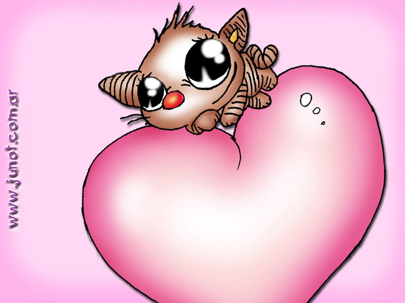 cute cat on a heart