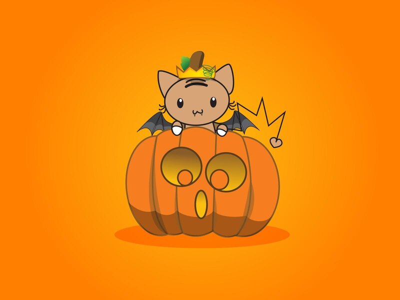 cute cat on pumpkin