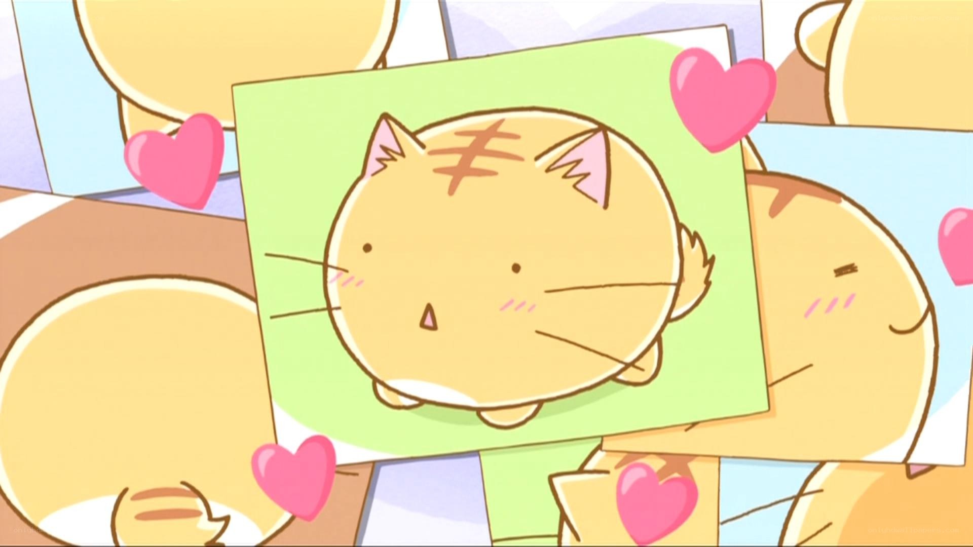 cute cat photo collage
