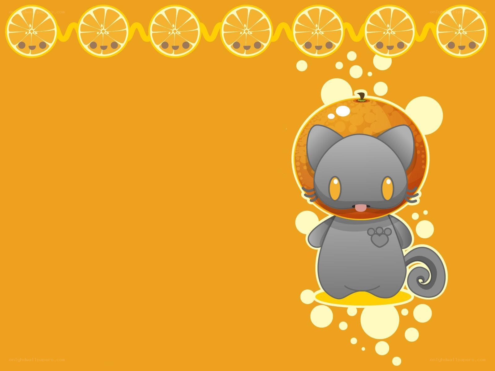 cute cat with orange slice