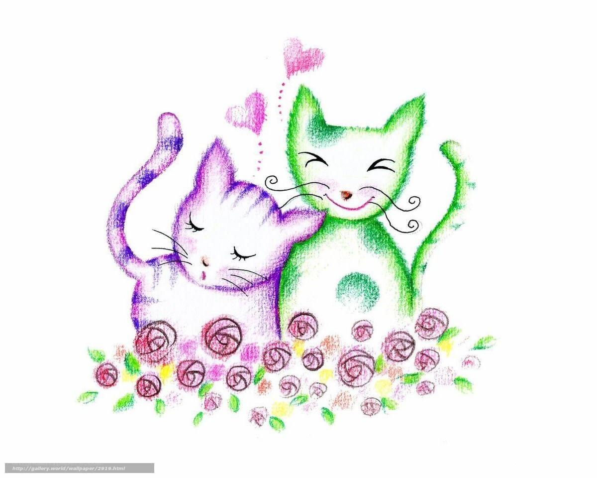 cute cats in love