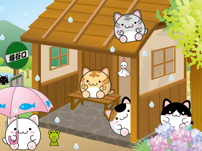 Cute Cats in Rain