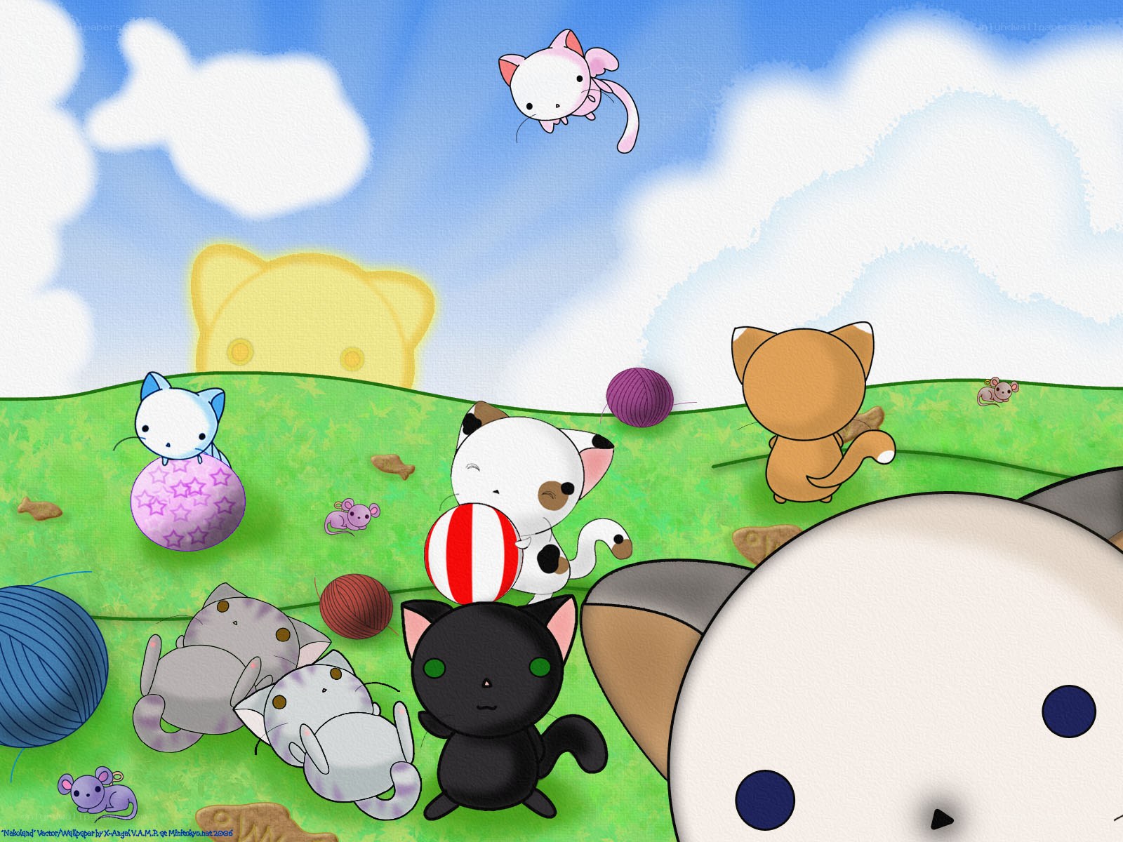 Cute cats playing in a field