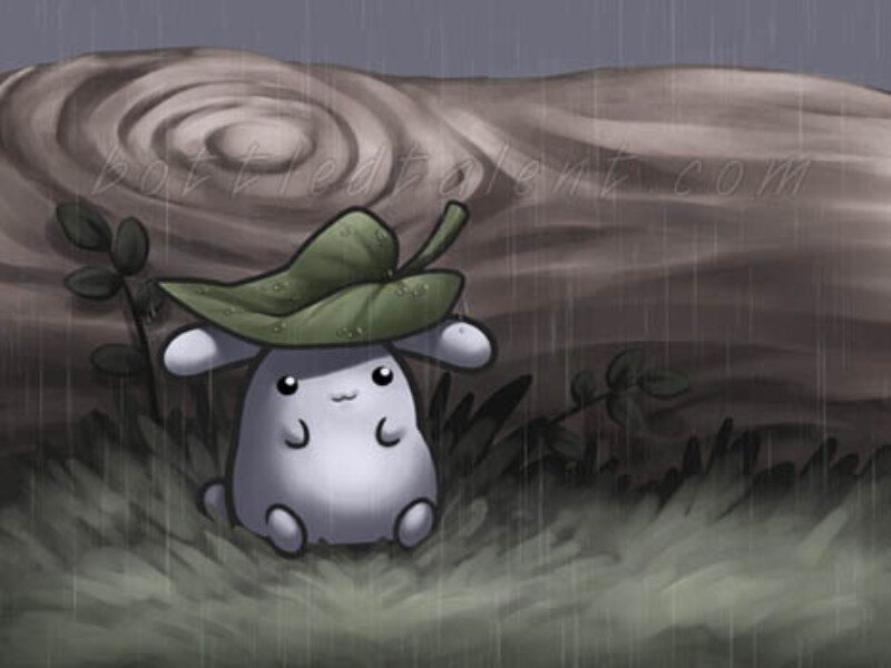 Cute Creature in Rain