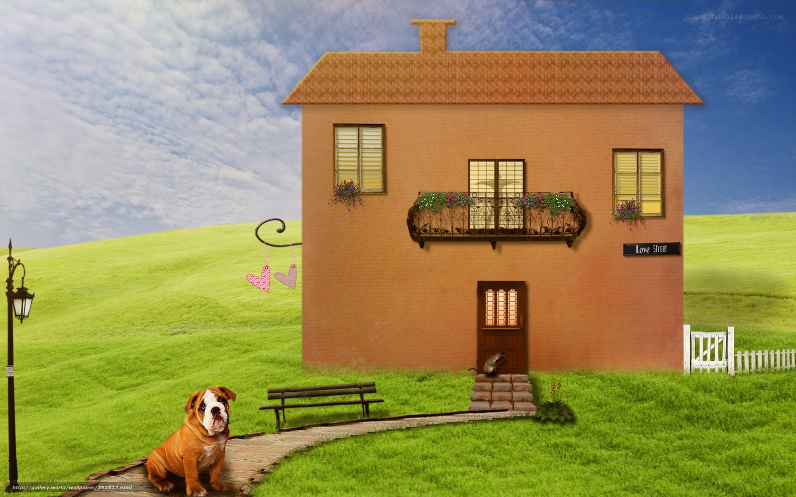 Cute dog in front of house