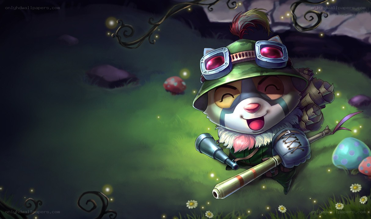 cute explorer in a forest