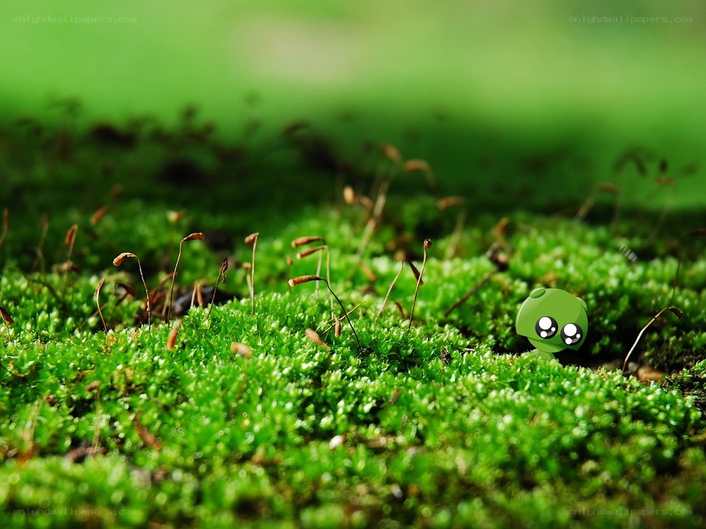 cute green character in moss