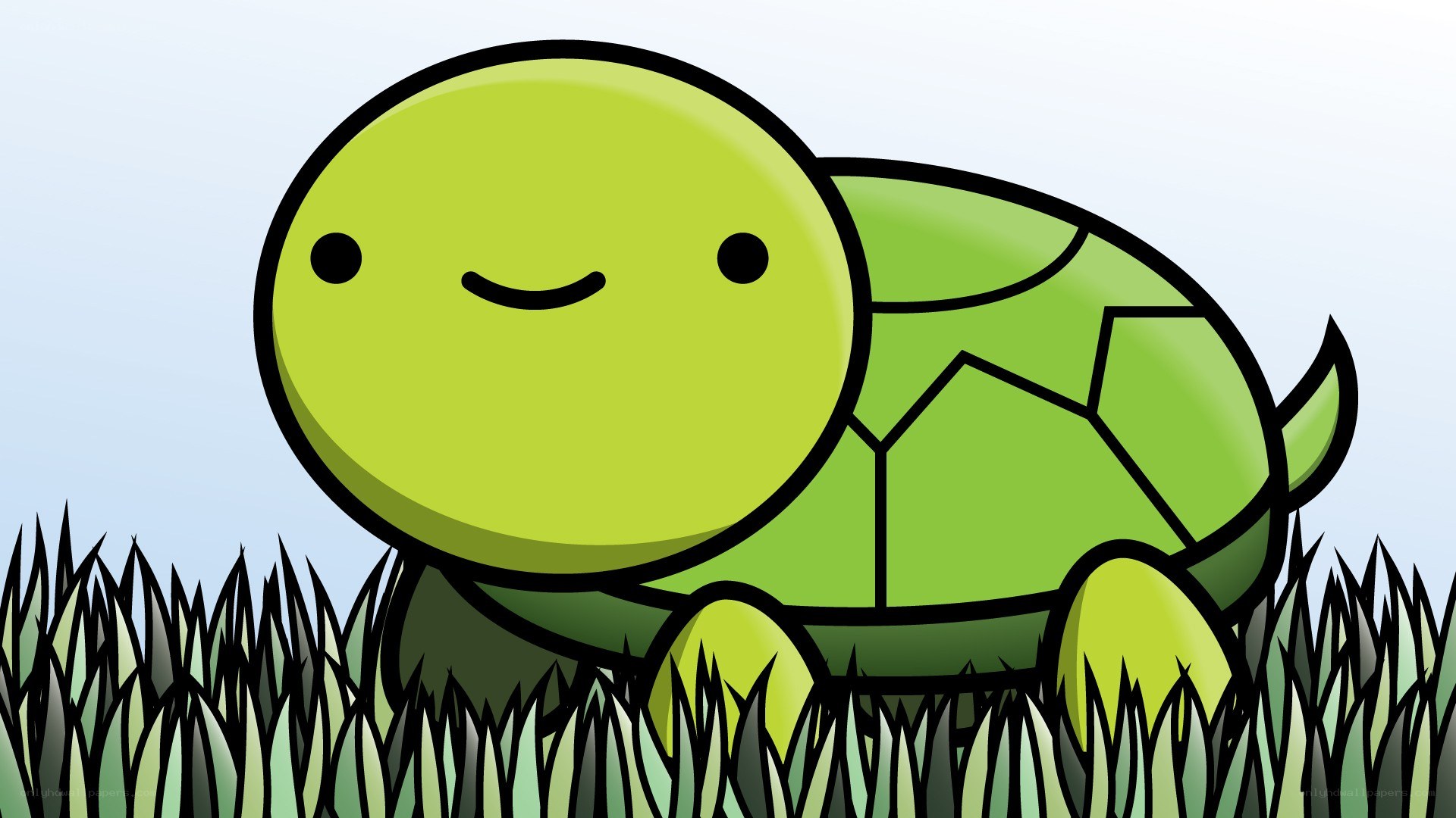 cute green turtle in grass