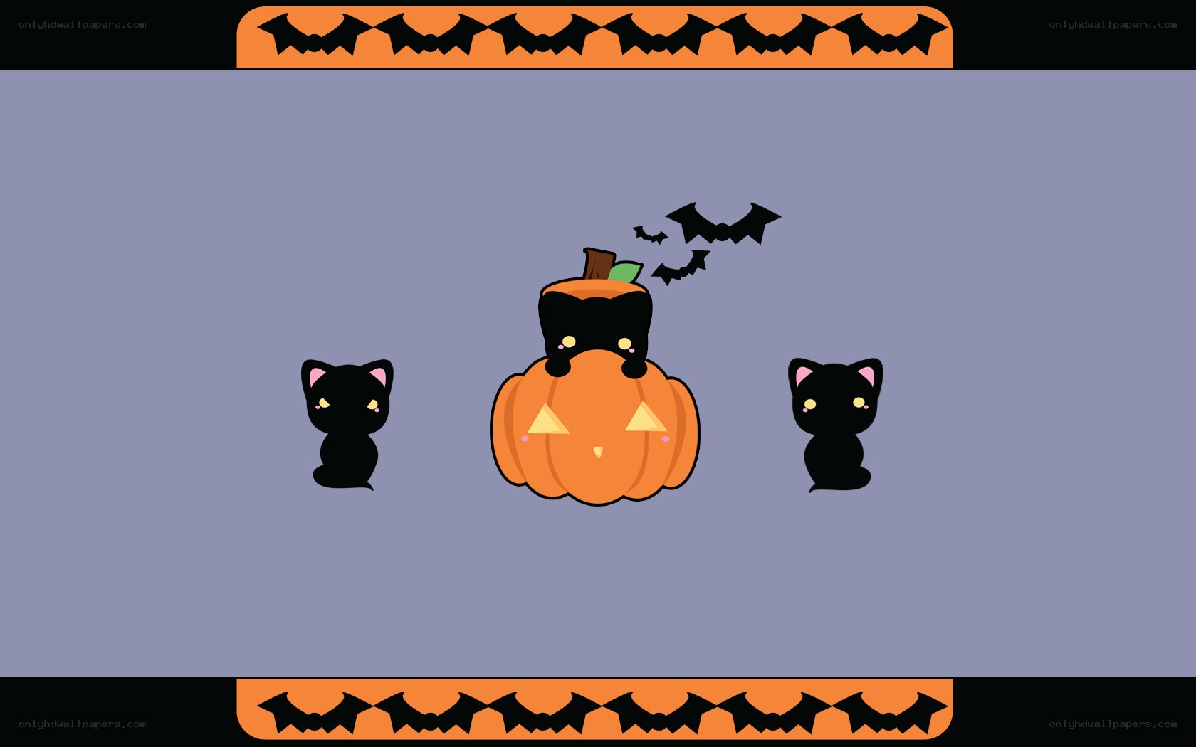 cute Halloween cats and pumpkin