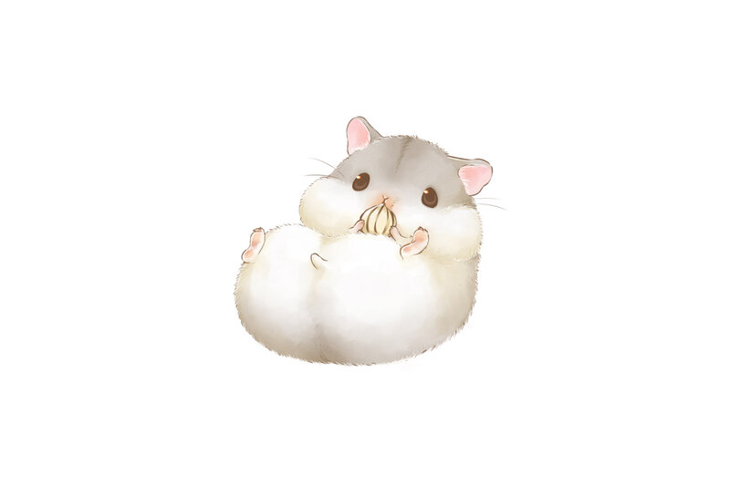 Cute Hamster Eating