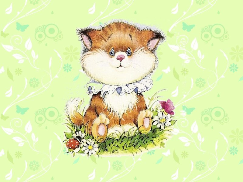 cute kitten in garden