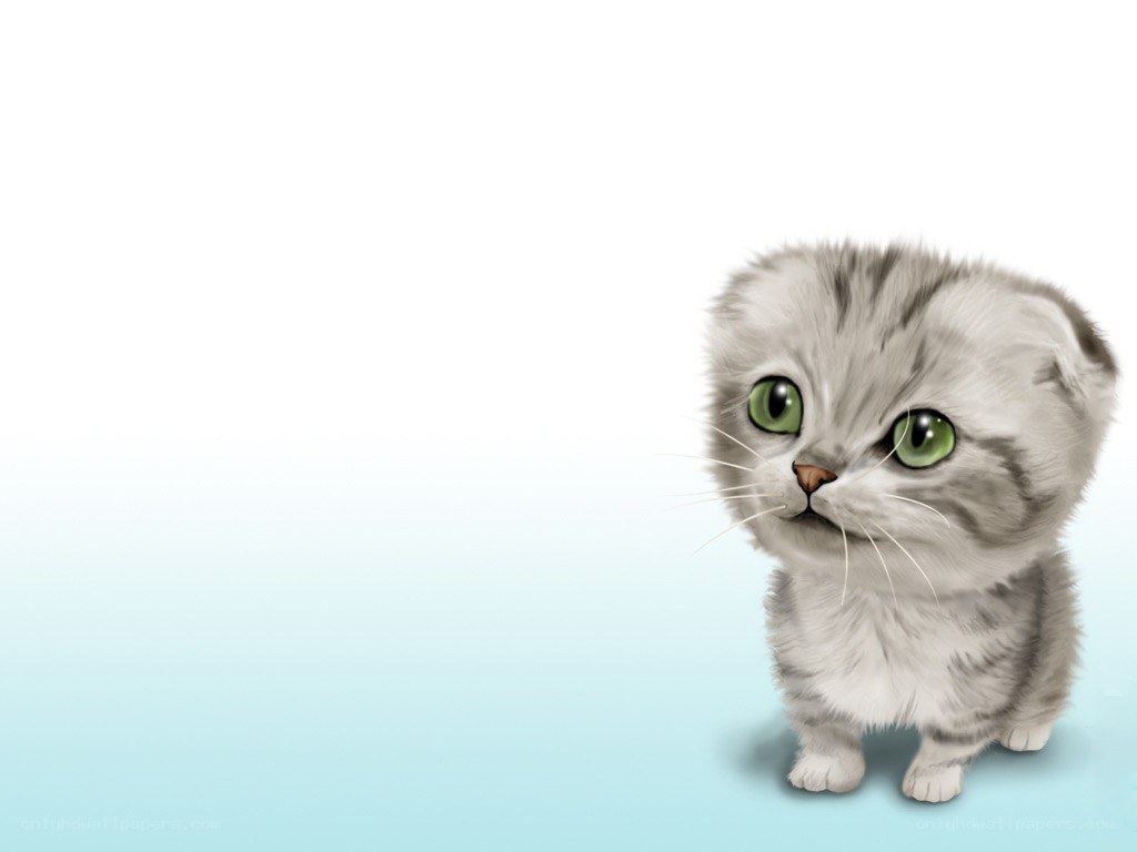 cute kitten with green eyes