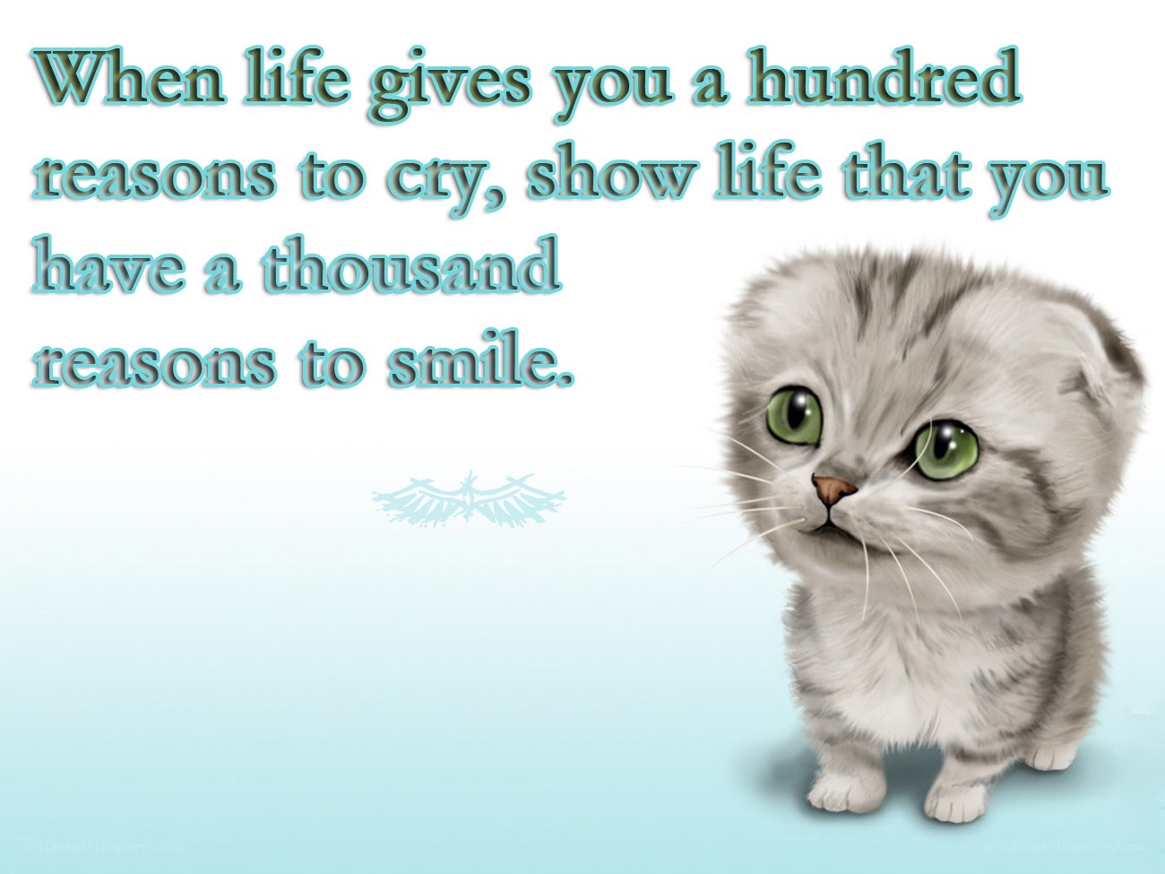 cute kitten with quote
