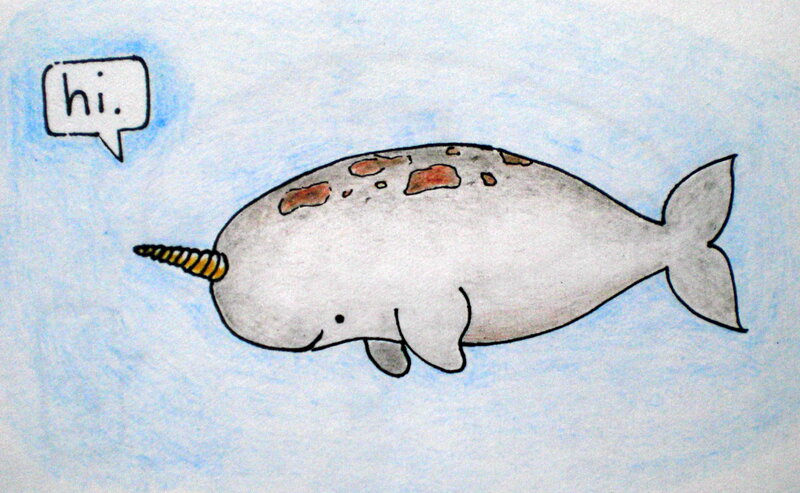 cute narwhal drawing