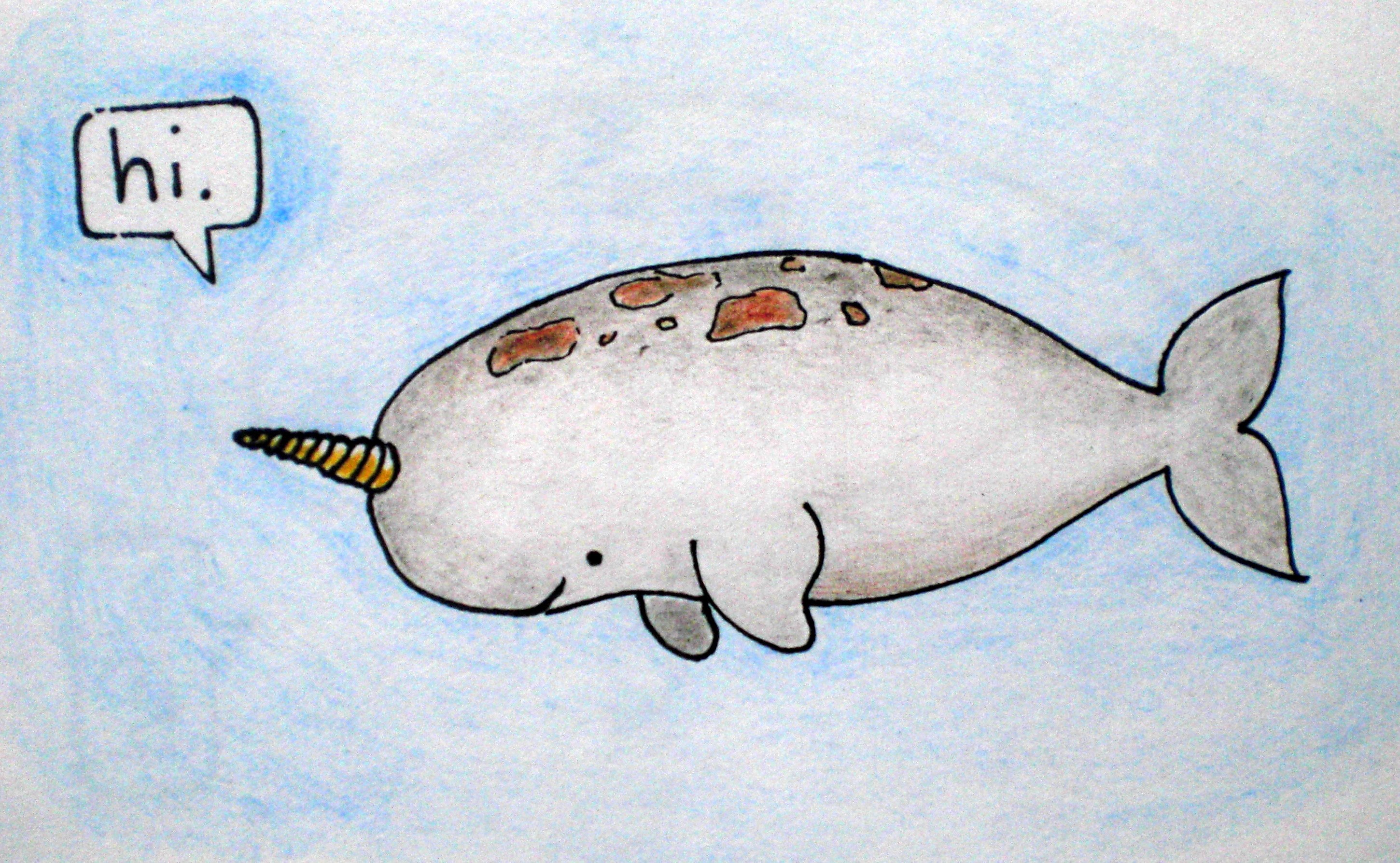 cute narwhal drawing