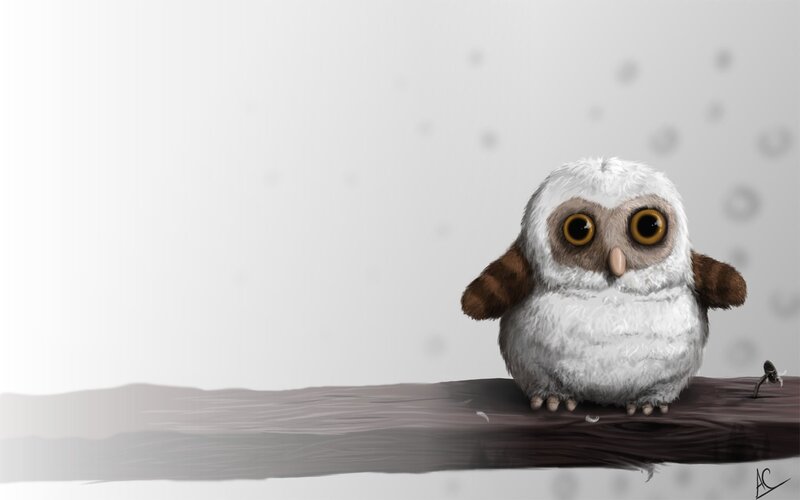 cute owl on a branch