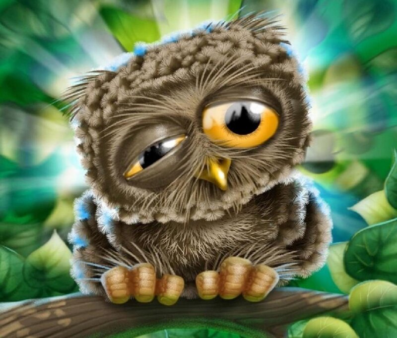 Cute Owl on Branch