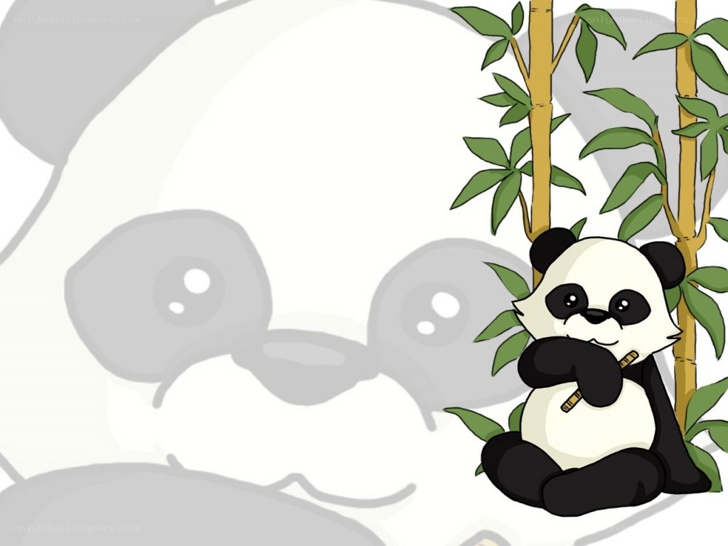 cute panda eating bamboo
