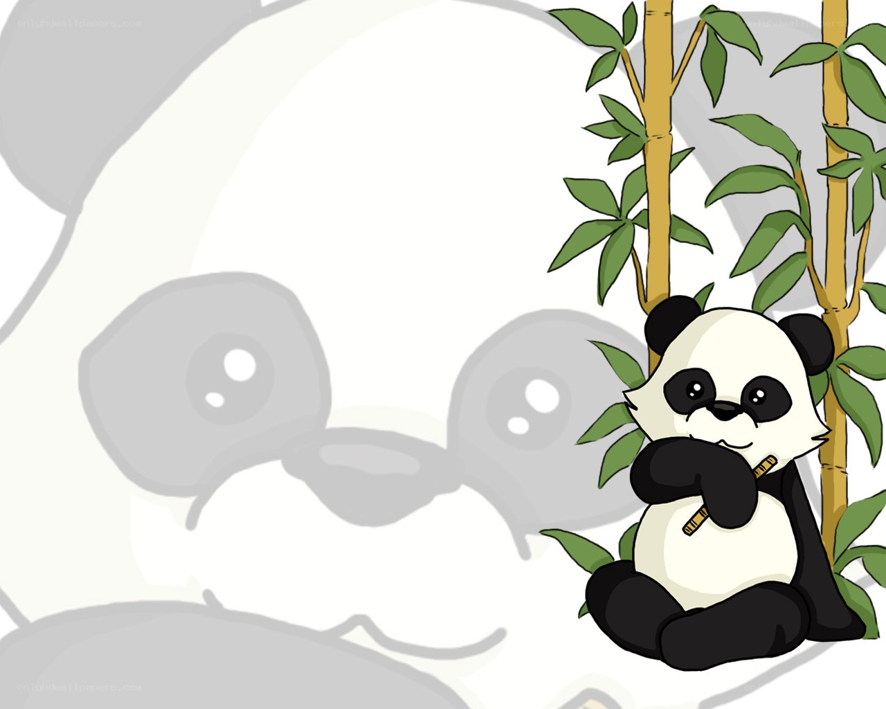 cute panda eating bamboo