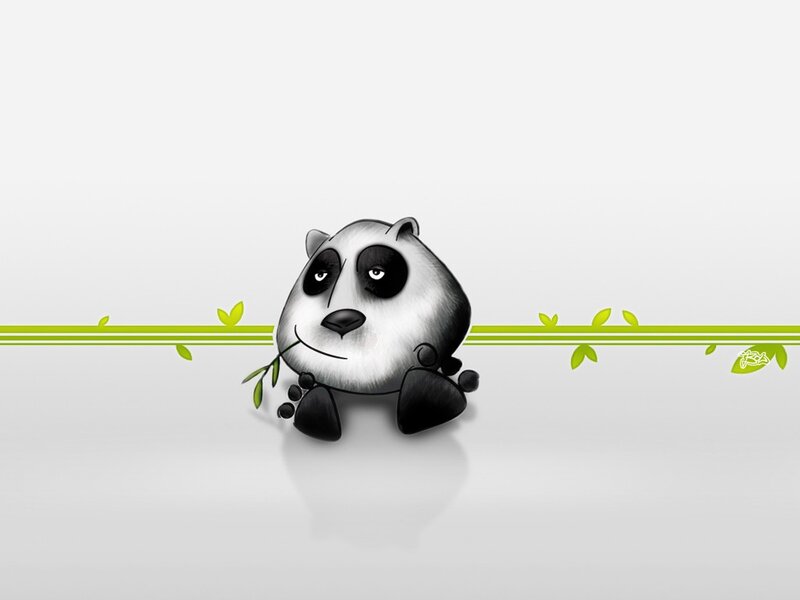 cute panda eating bamboo