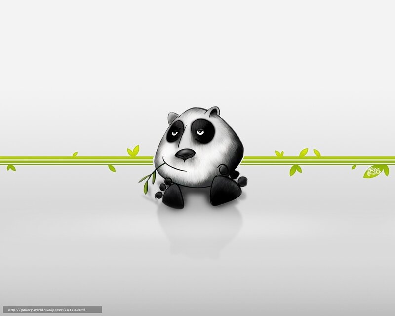 cute panda eating bamboo