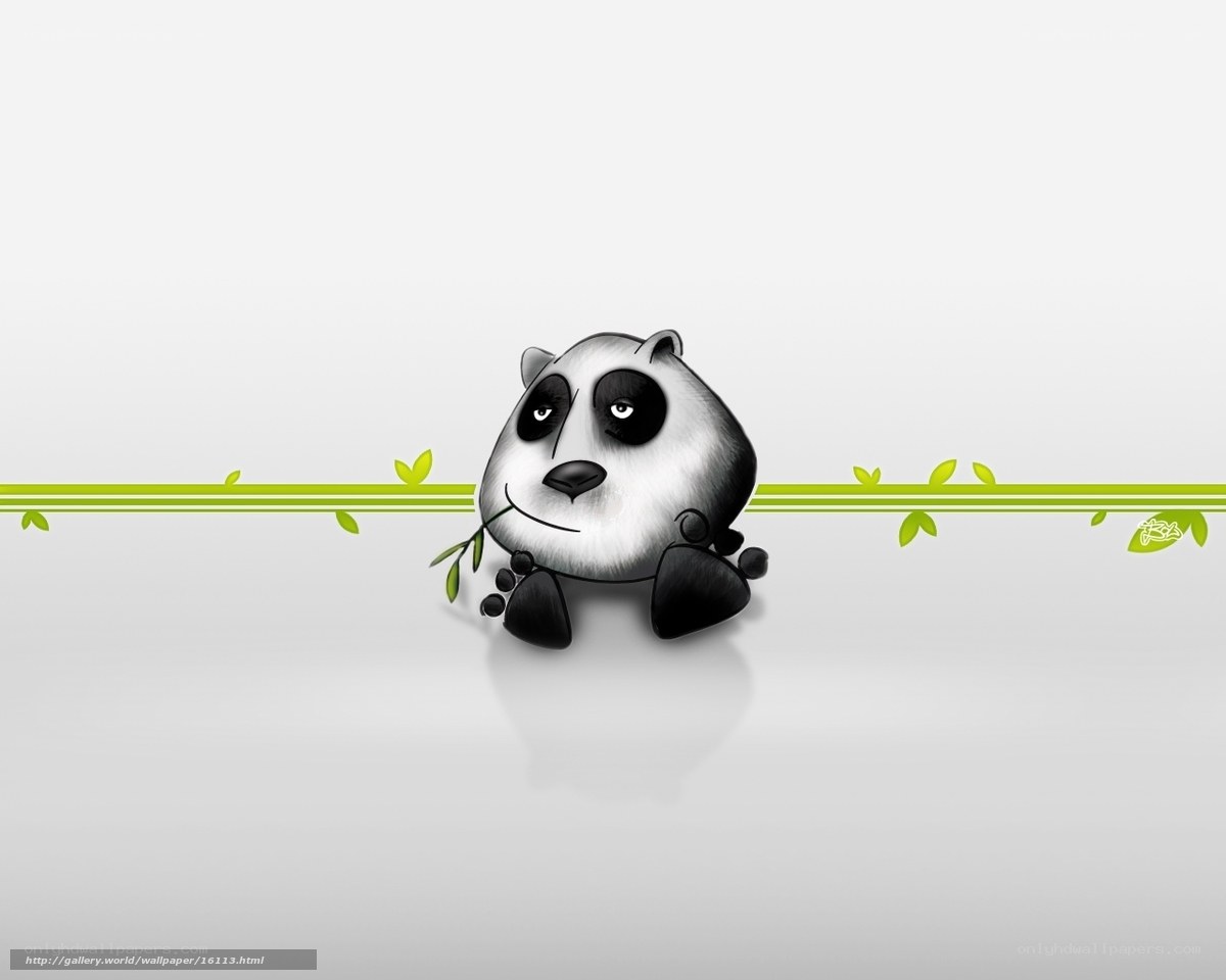 cute panda eating bamboo