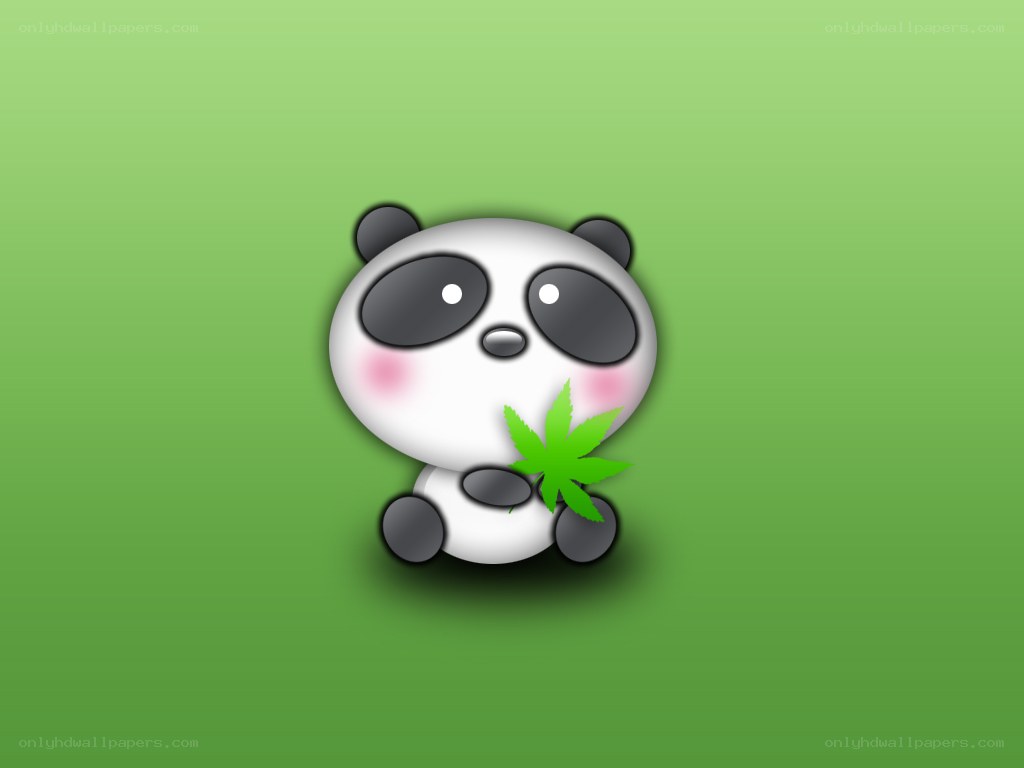 cute panda holding leaf