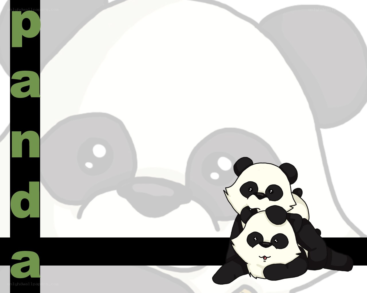 cute panda illustration