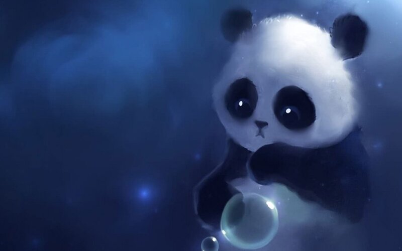 cute panda in space