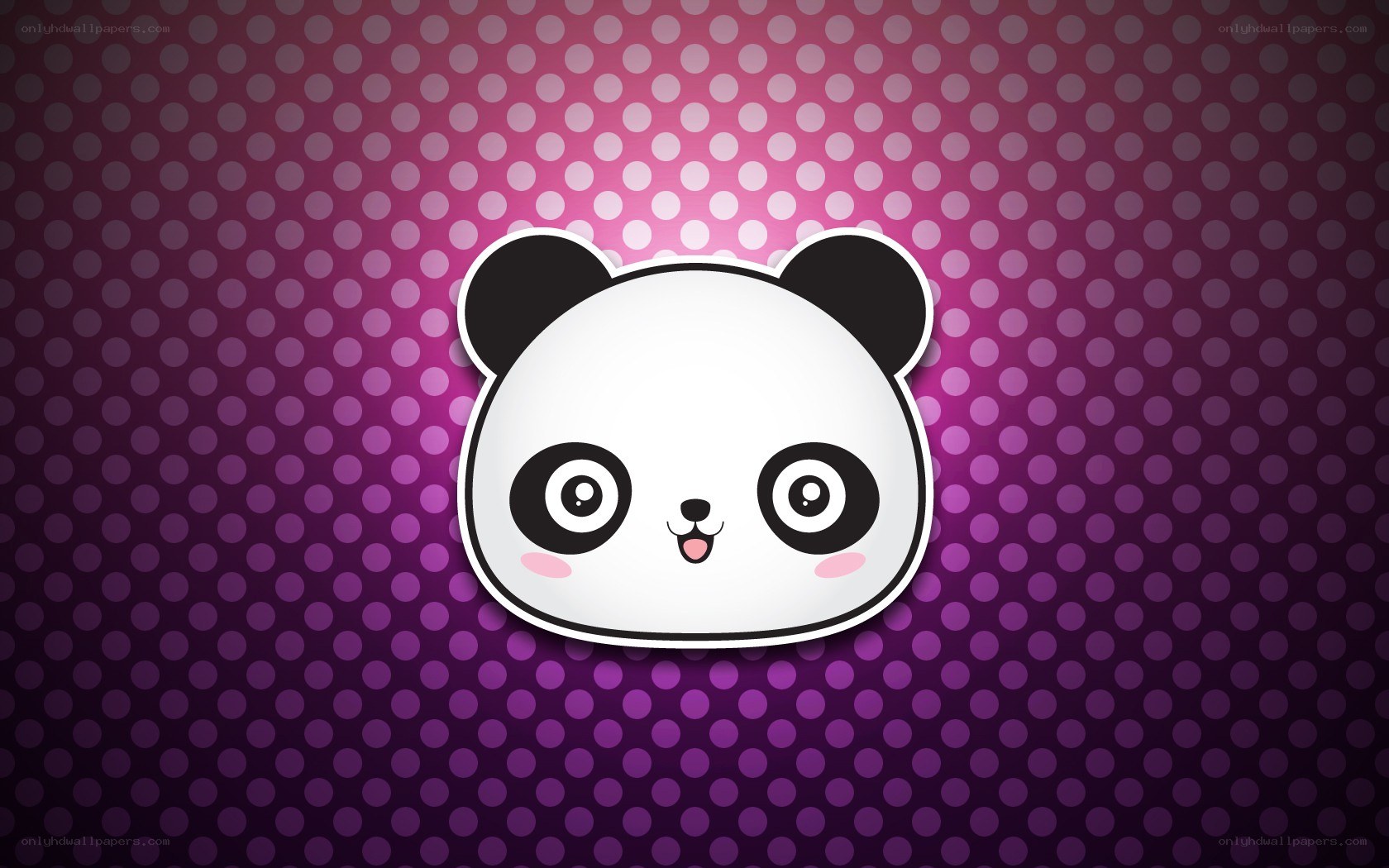 cute panda on purple dots