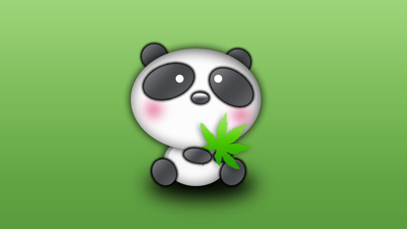 cute panda with leaf