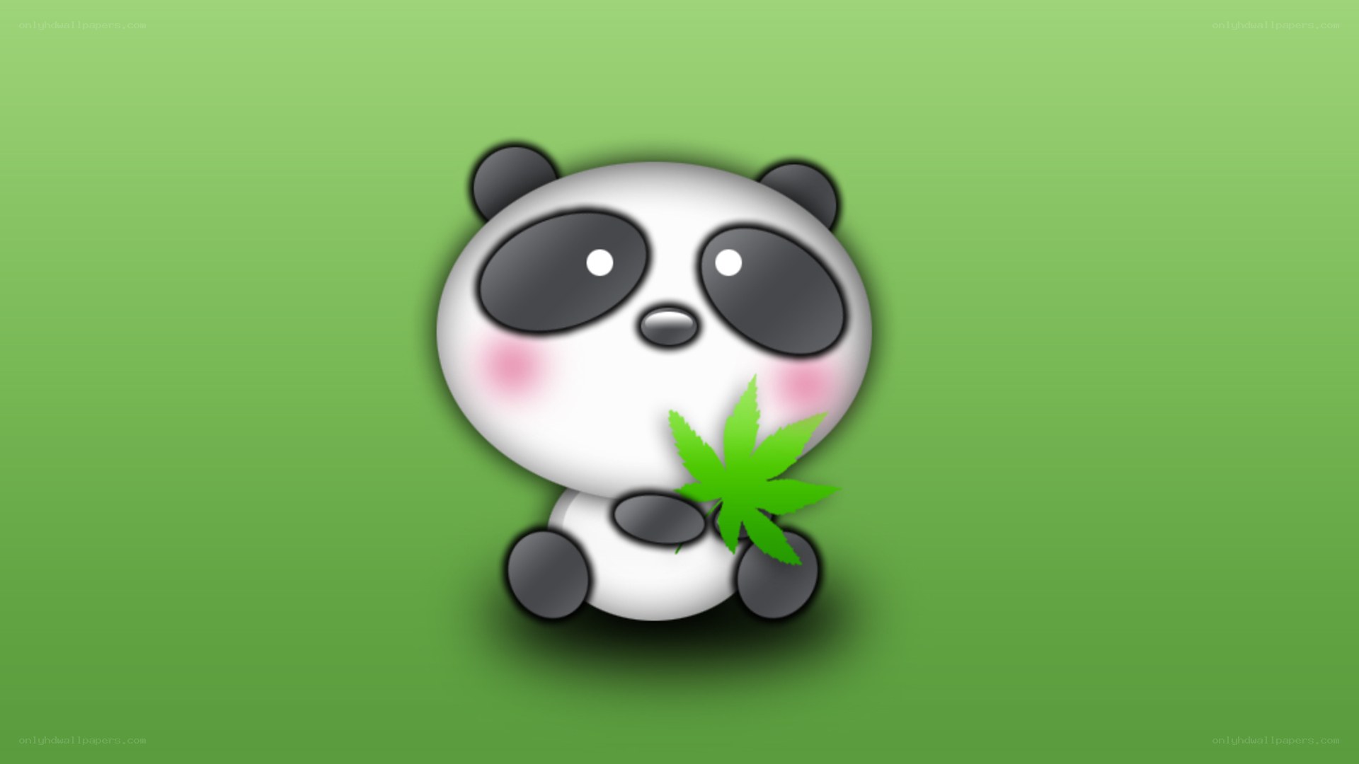 cute panda with leaf