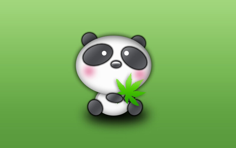 cute panda with leaf