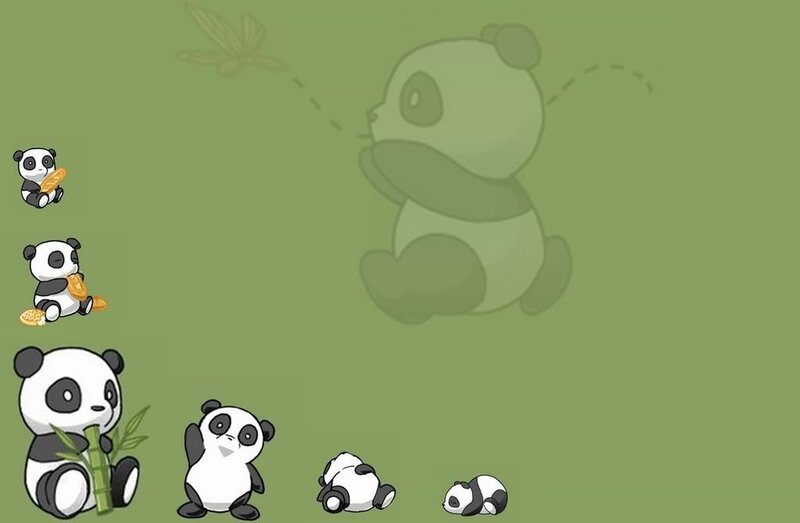 cute pandas eating bamboo