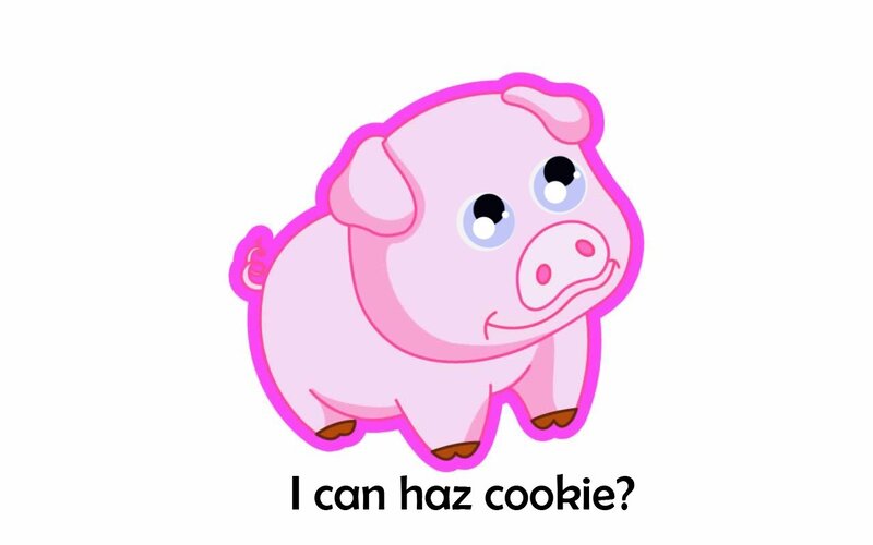 cute pig character