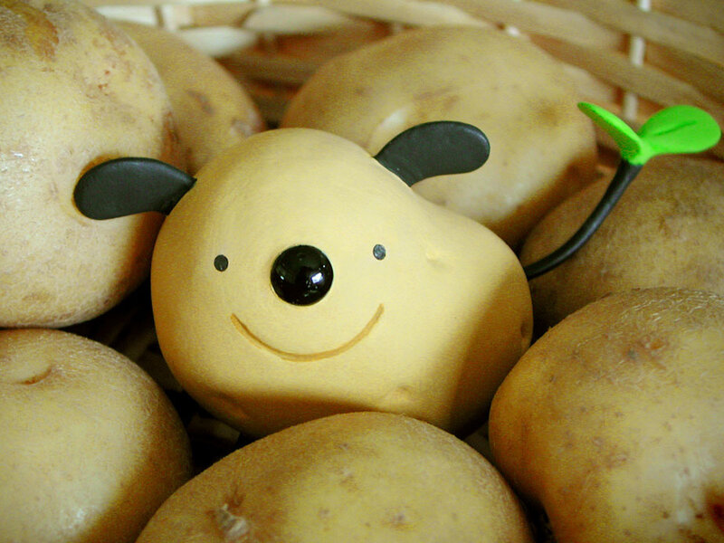 cute potato character