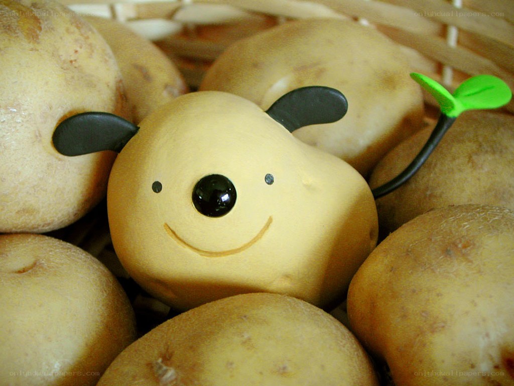 cute potato character