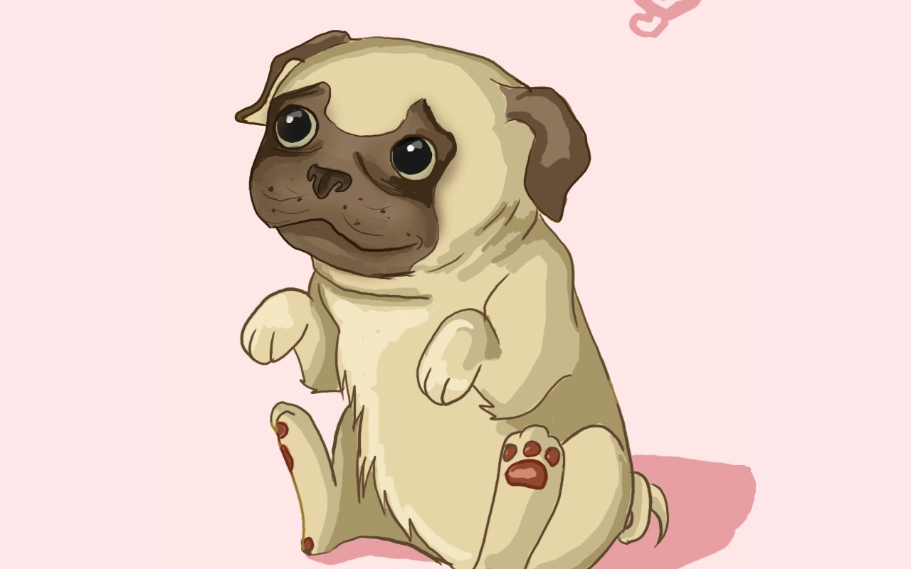 cute pug puppy illustration