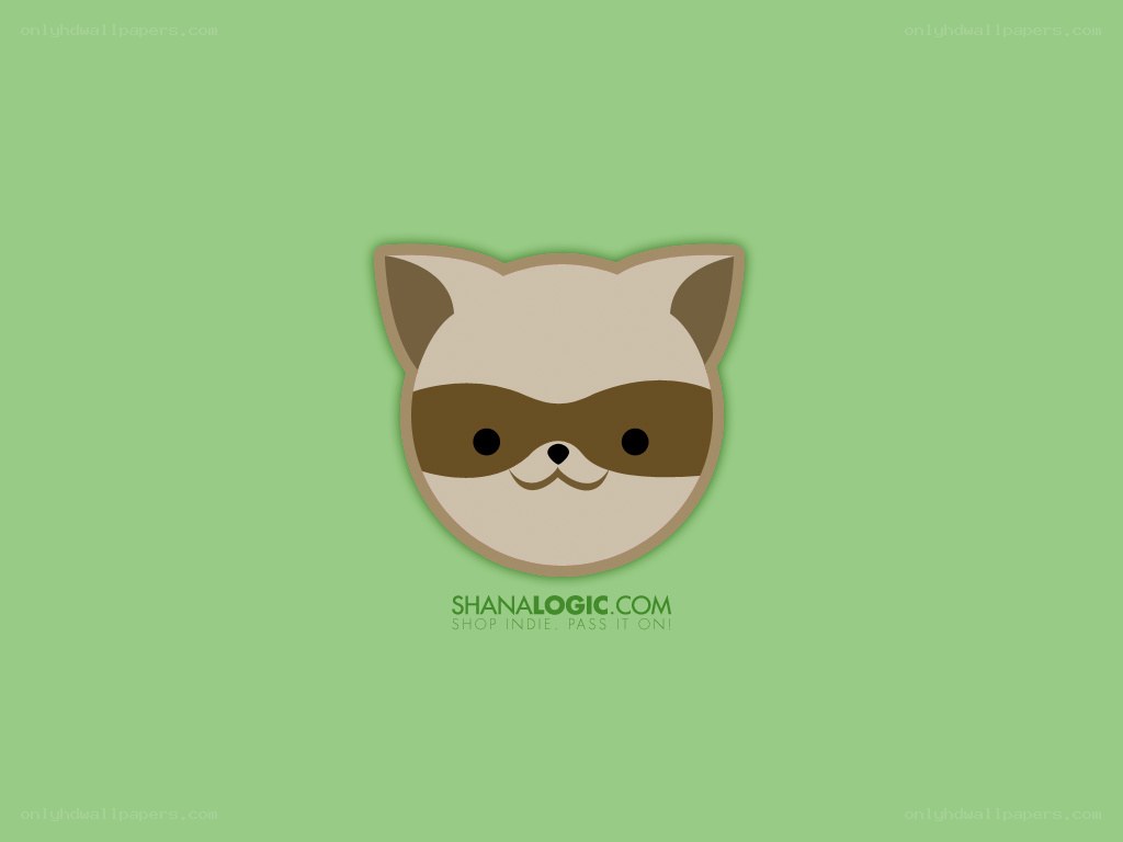 cute raccoon face illustration