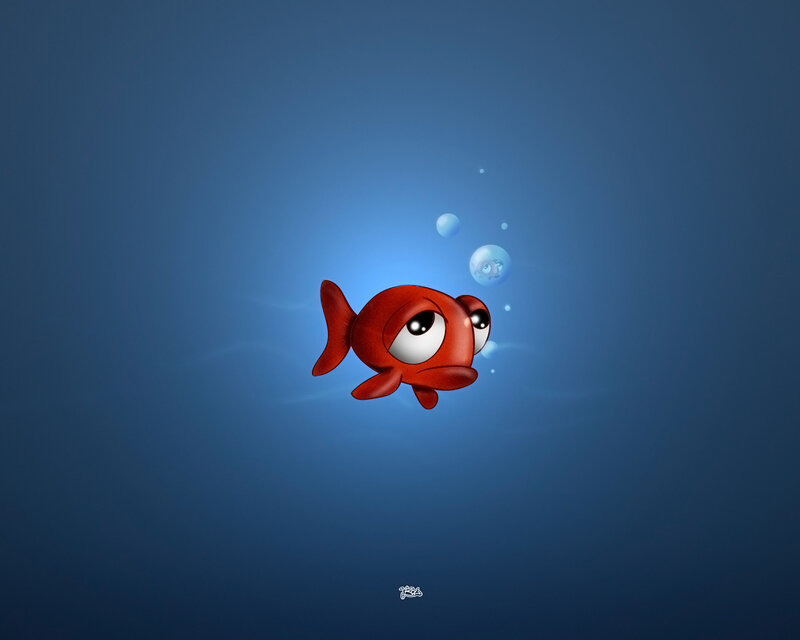 cute red fish underwater