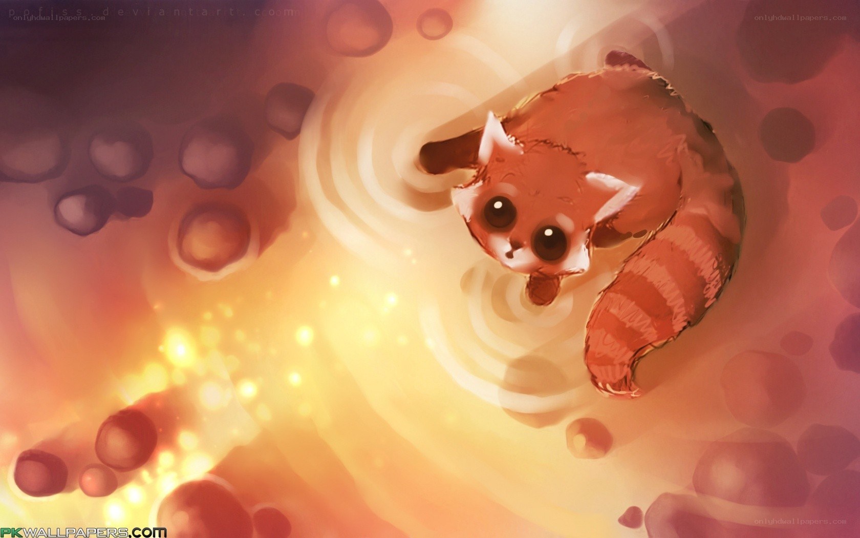 cute red panda in warm light