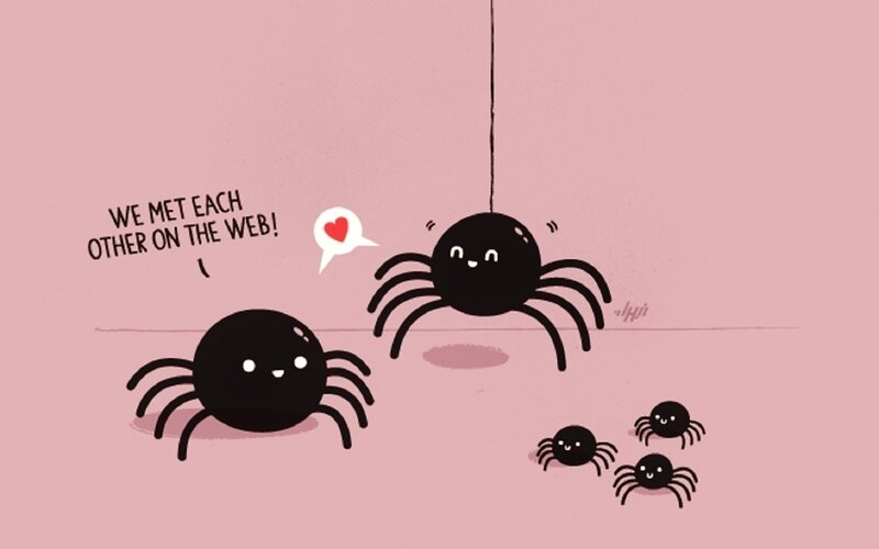 Cute Spiders on Web