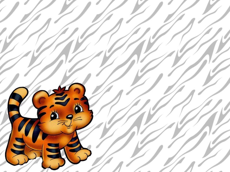 Cute Tiger Cub