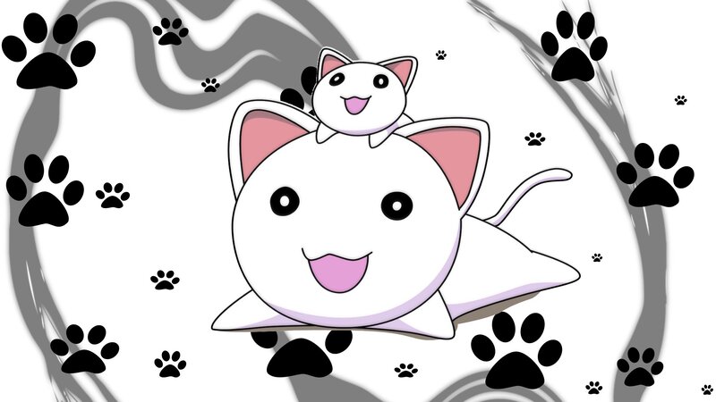 cute white cats with paw prints