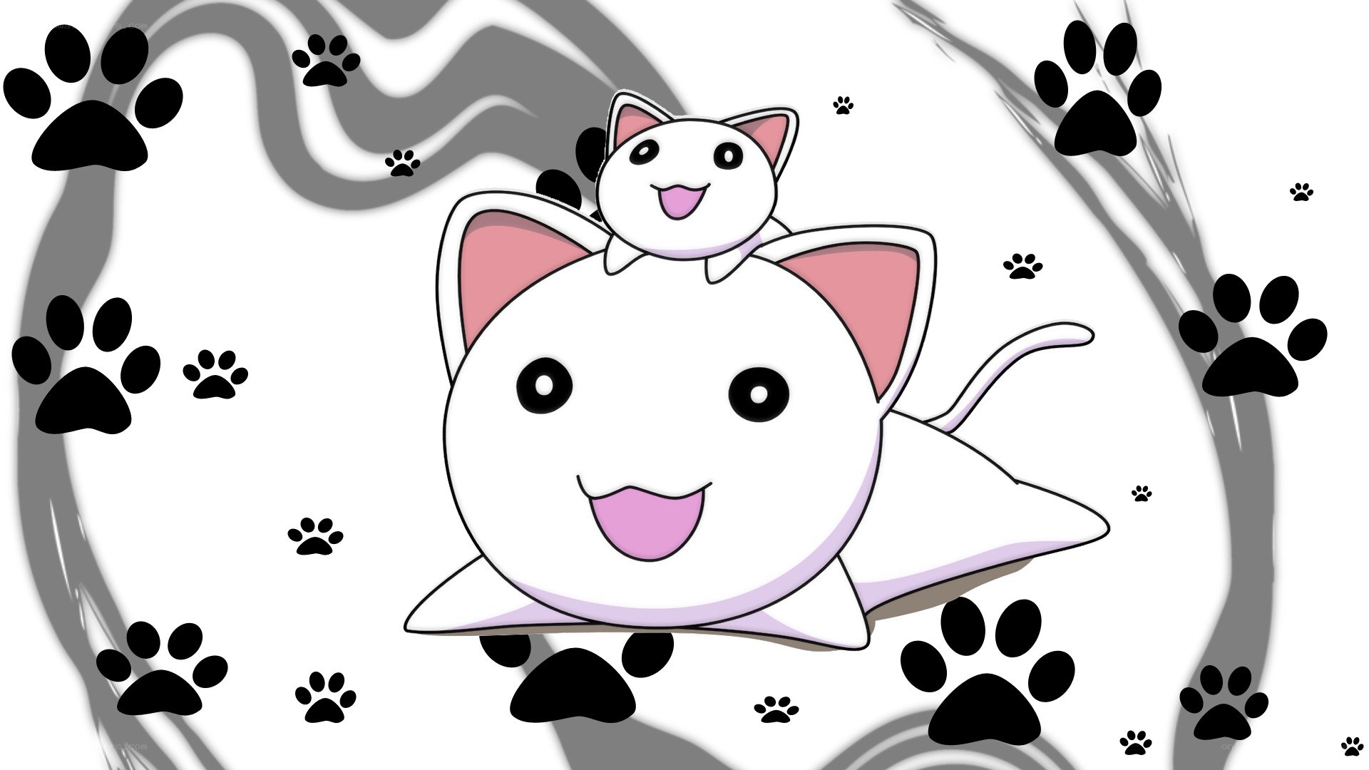 cute white cats with paw prints