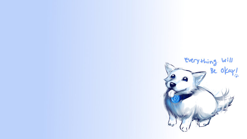 cute white dog with message