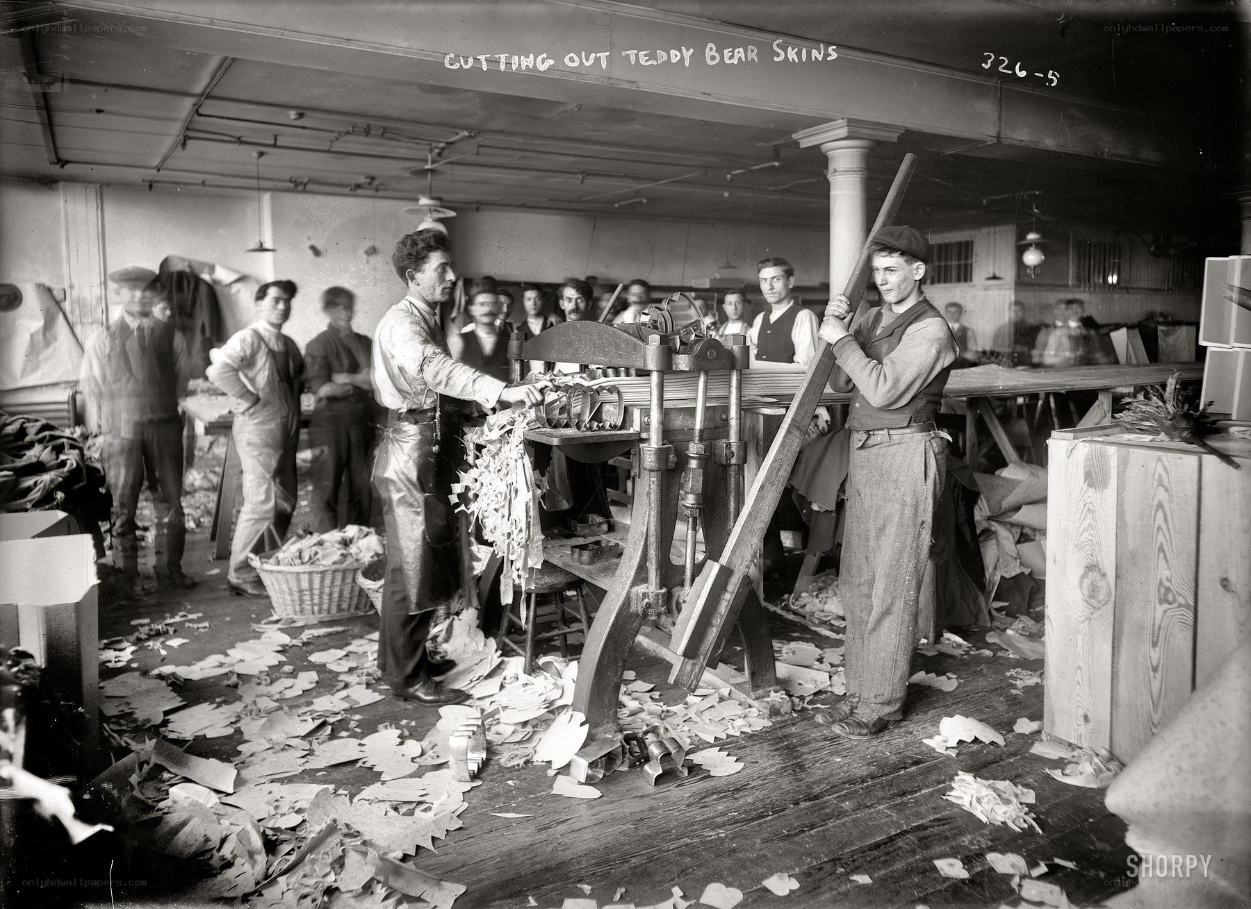 Cutting teddy bear skins
