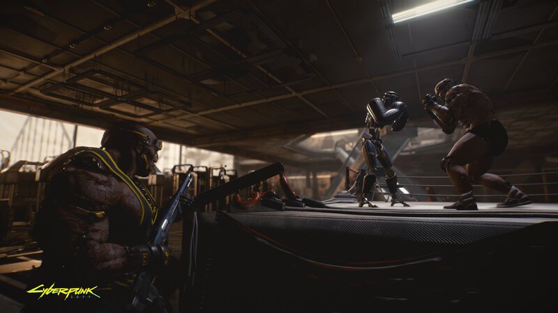 Cybernetic Boxer in Ring