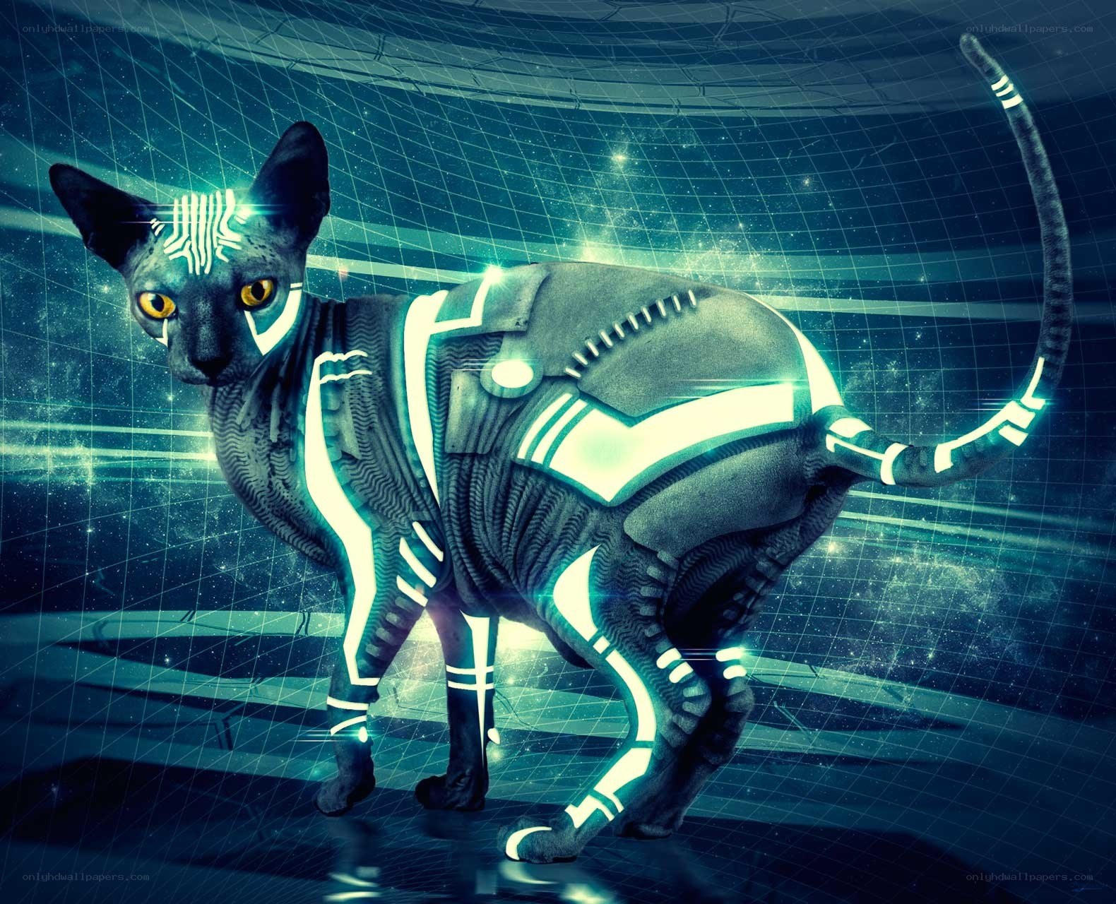 cybernetic cat in futuristic setting